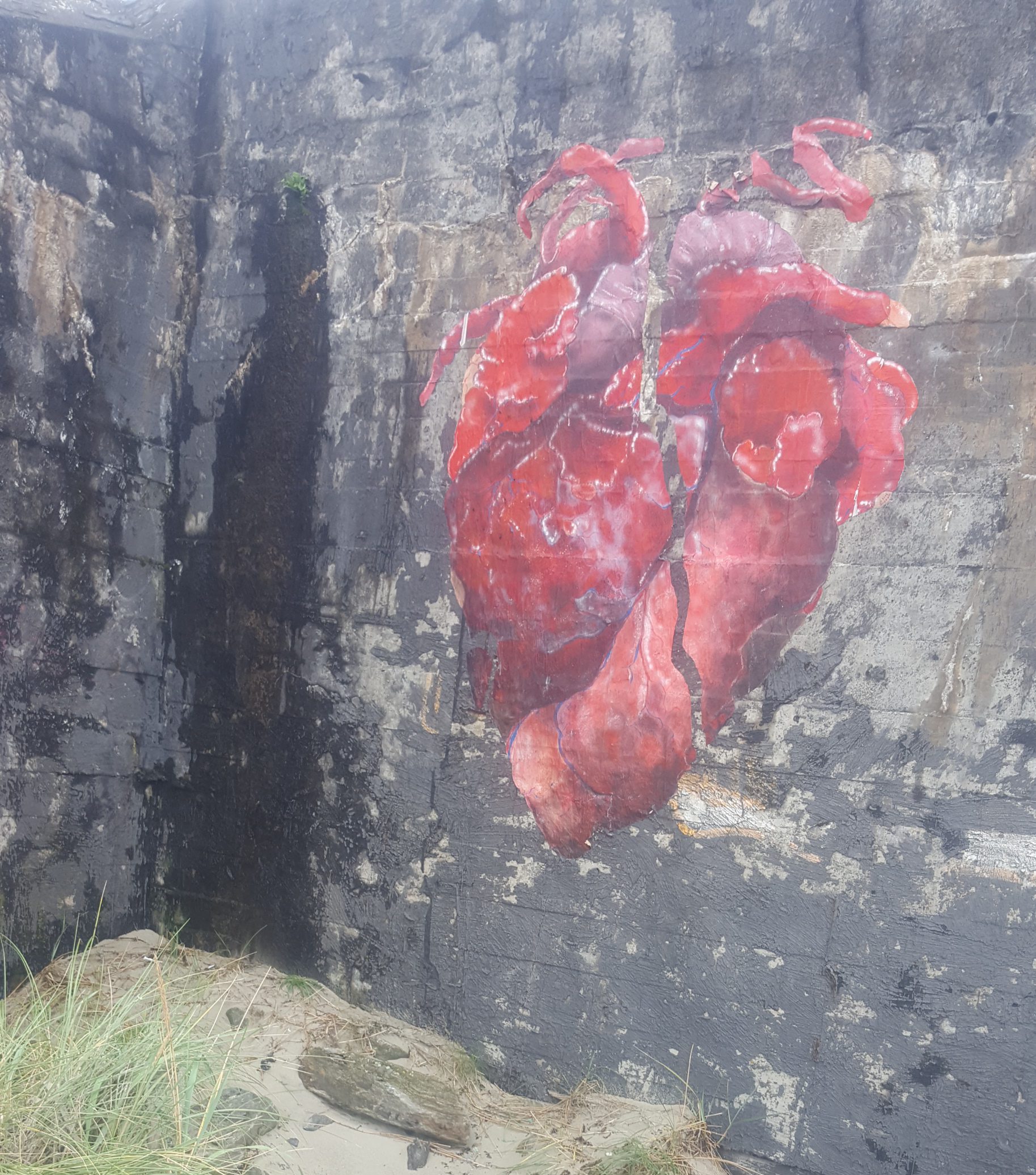 A Small Effort at a Tendril of a Root