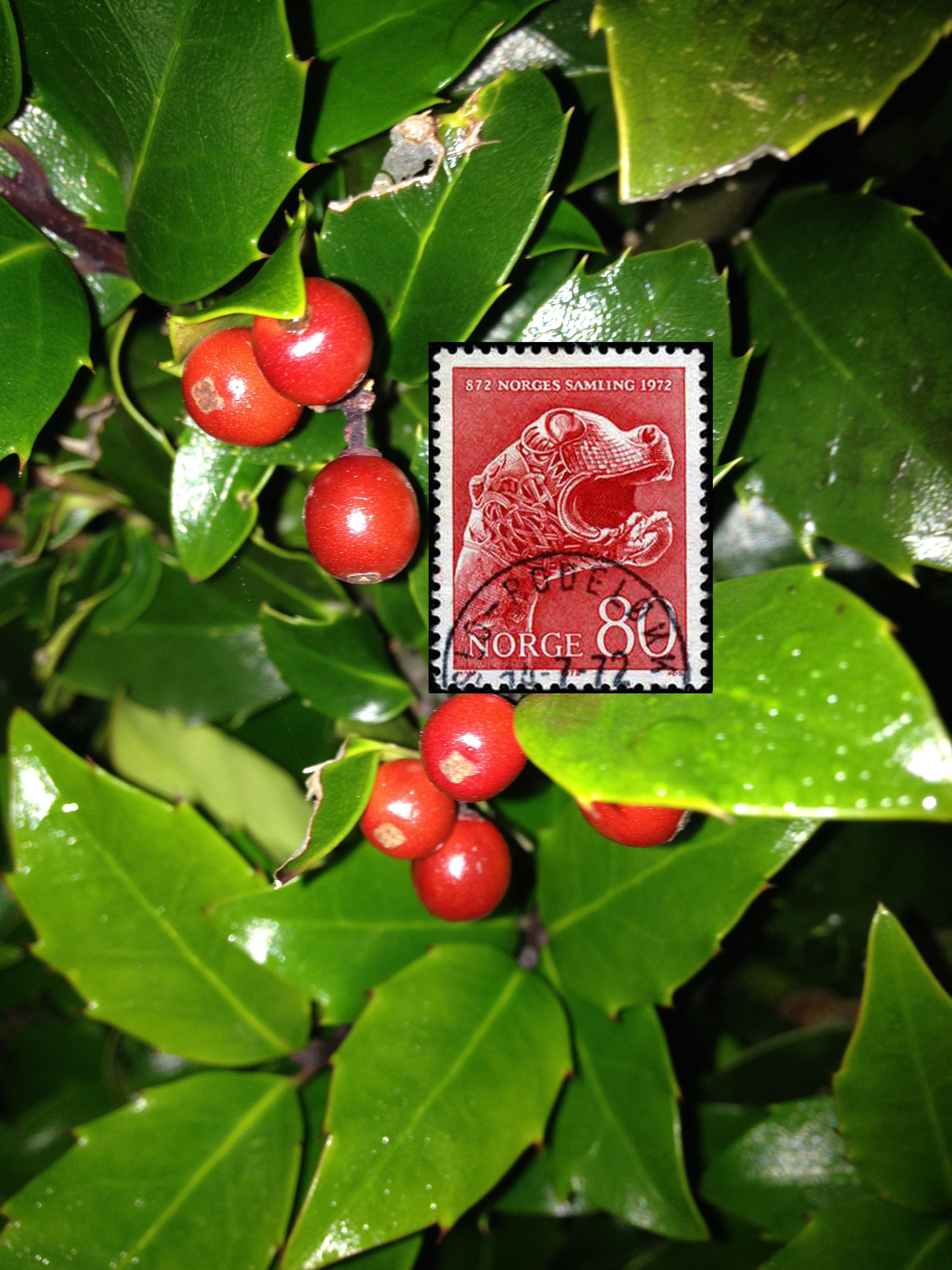 Friday Morning through a Purple Filter