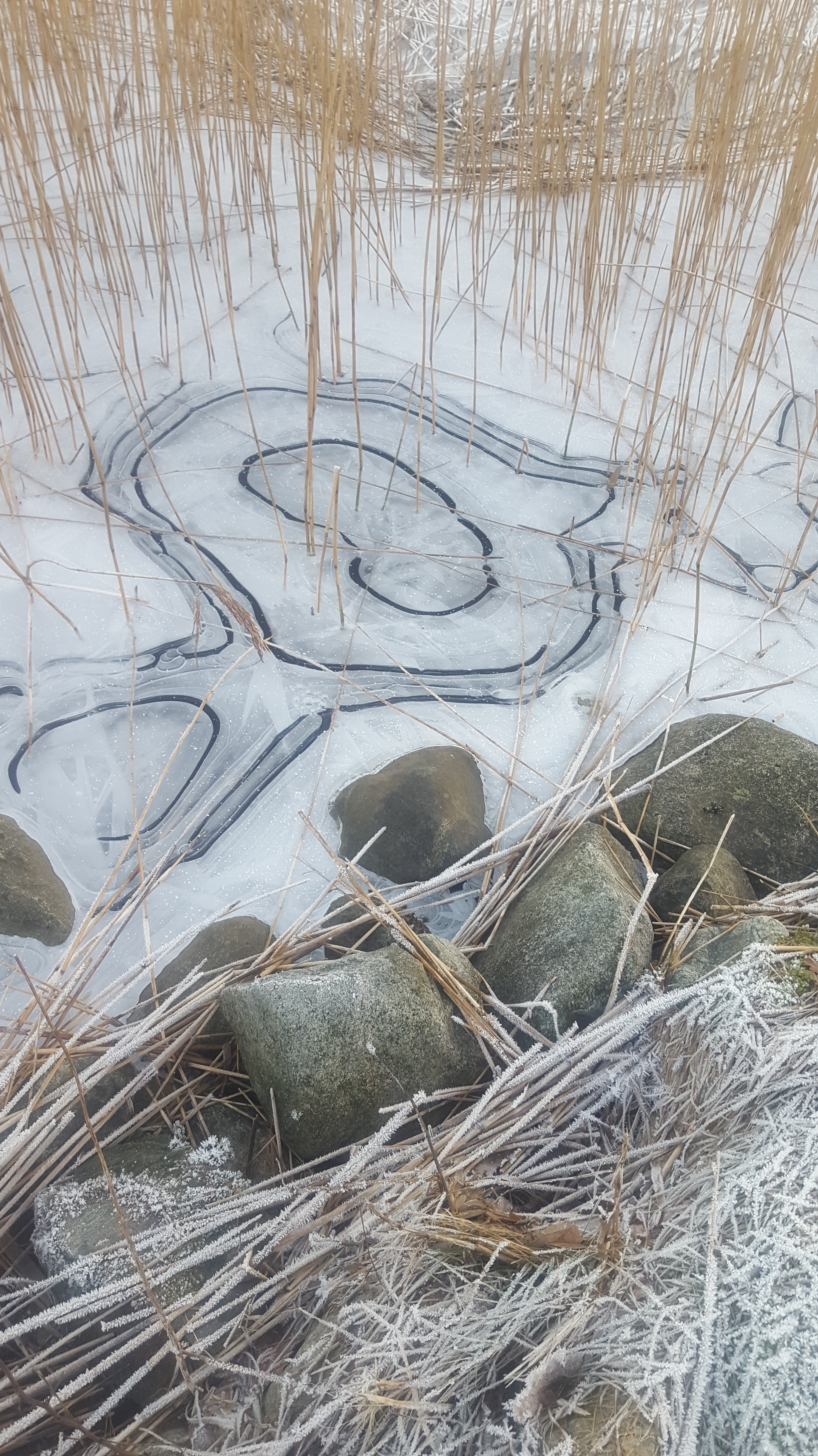 Winter’s Syncopation