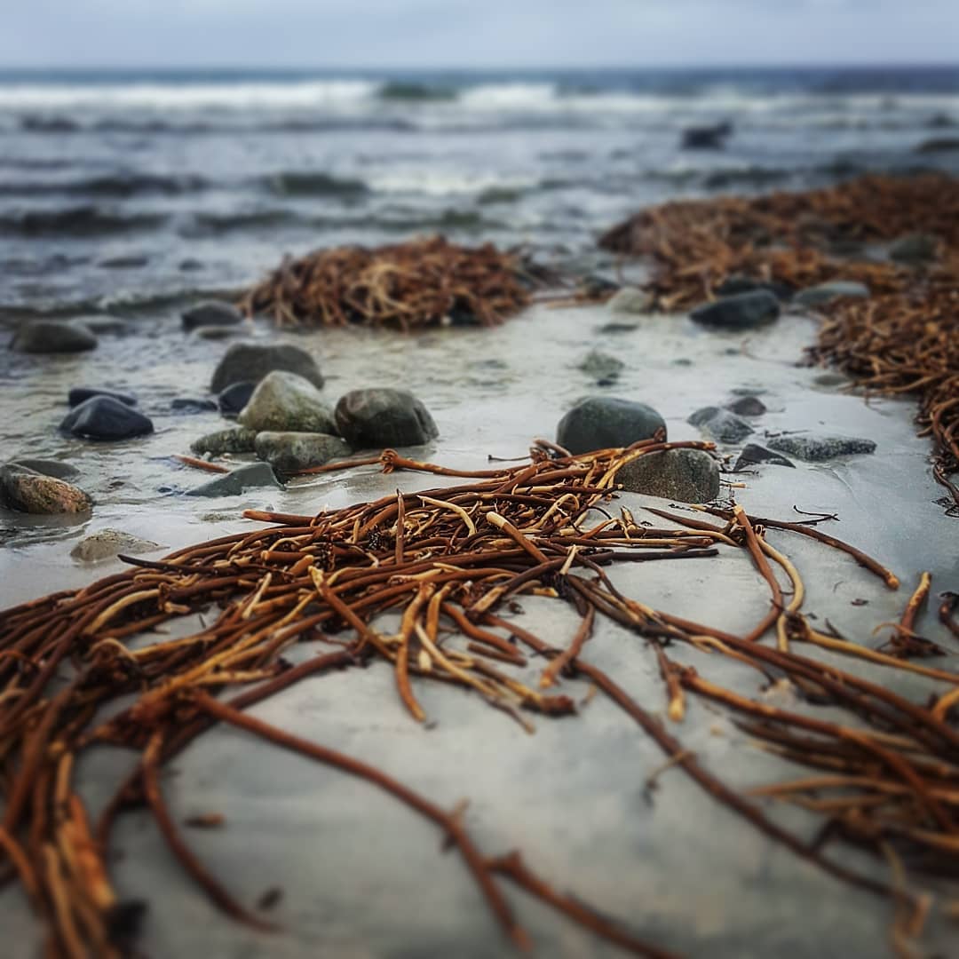 And take my waking slow