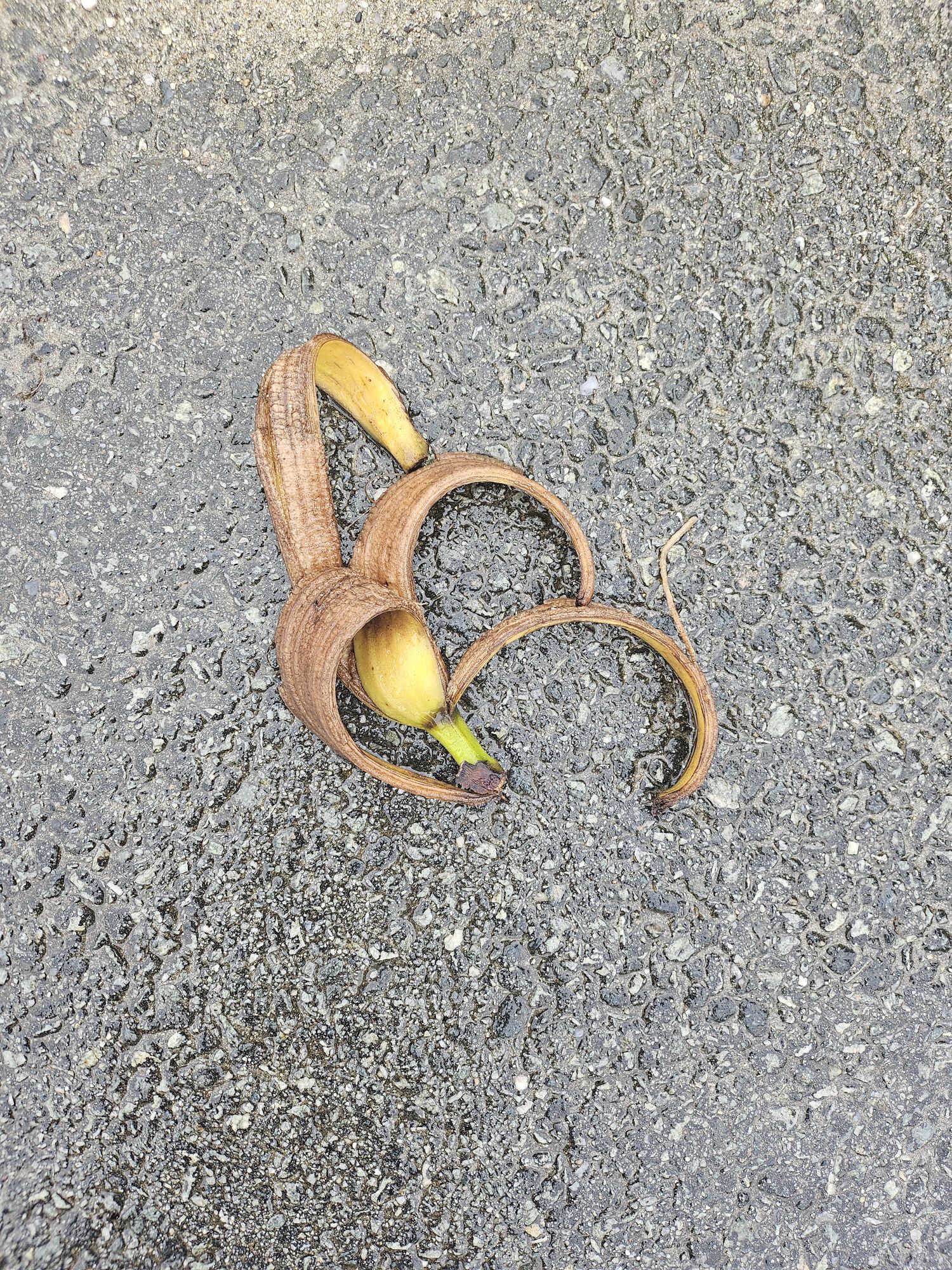 Cast Off